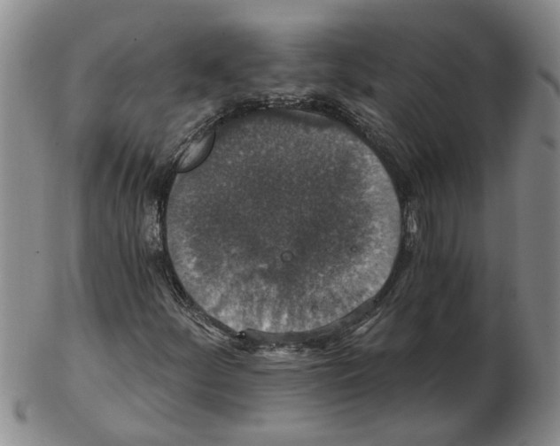 X0000102771252200809151031