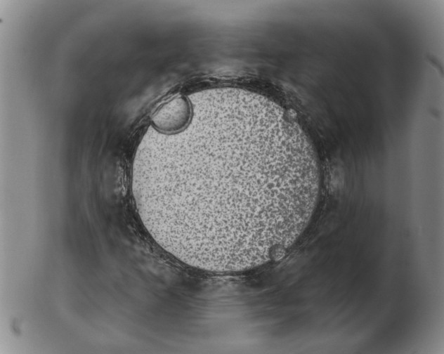 X0000102771253200809151031