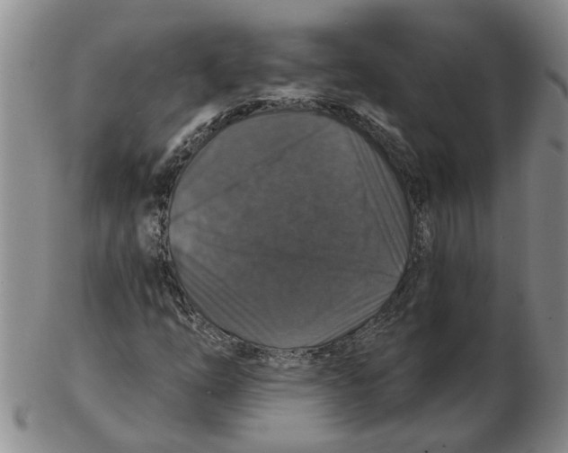 X0000102771254200809151031