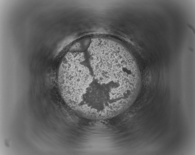 X0000102771255200809151031