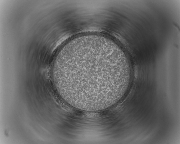 X0000102771258200809151031