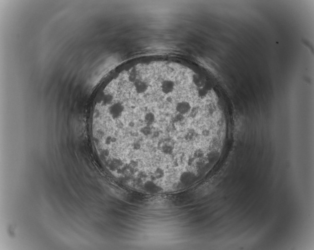 X0000102771259200809151030