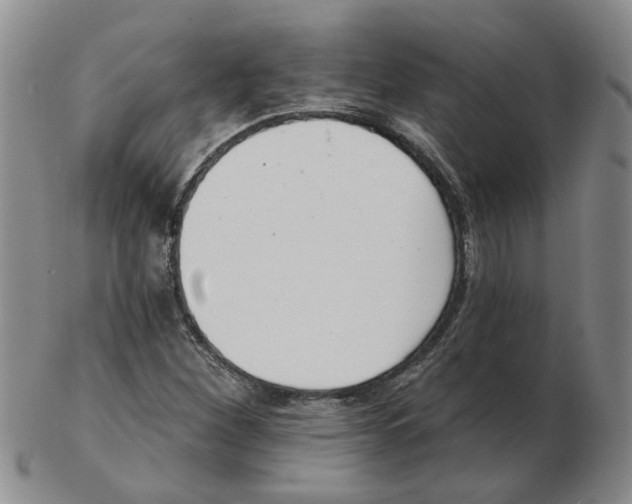 X0000102771260200809151030