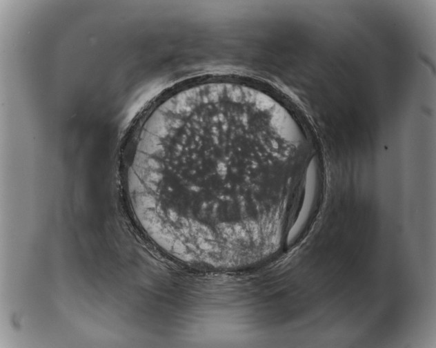 X0000102771263200809151030