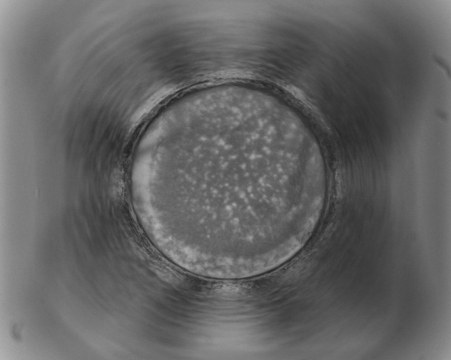 X0000102771266200809151030