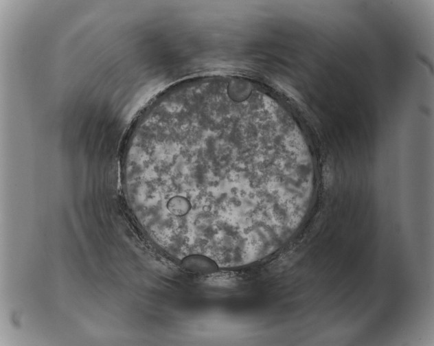 X0000102771267200809151030