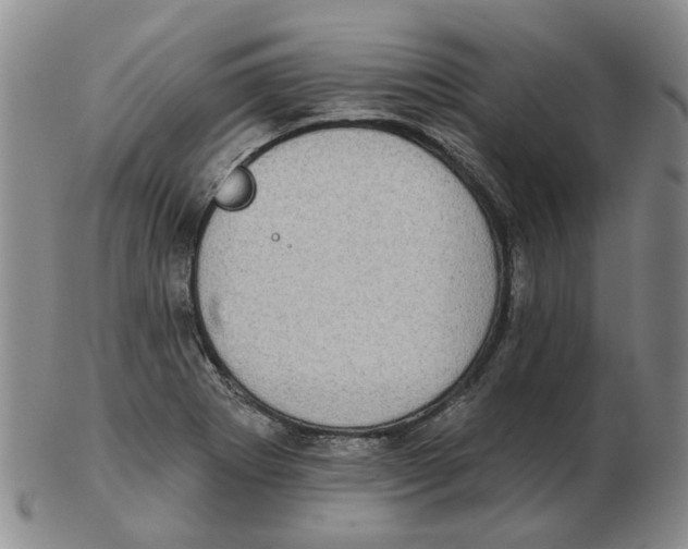 X0000102771273200809151030