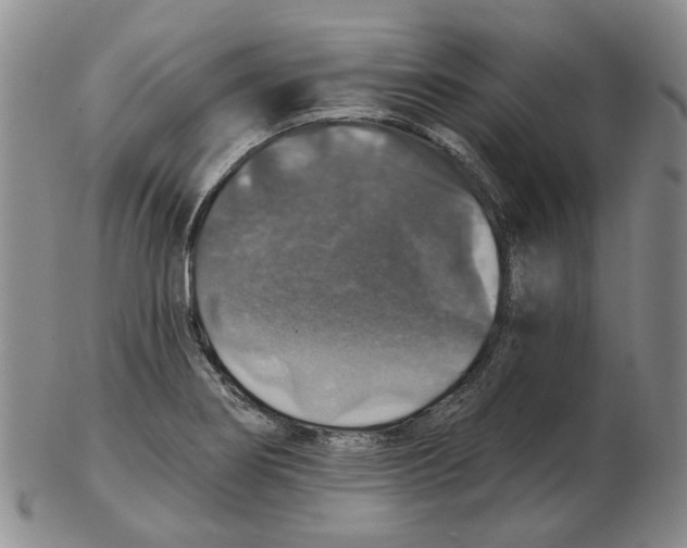 X0000102771274200809151030