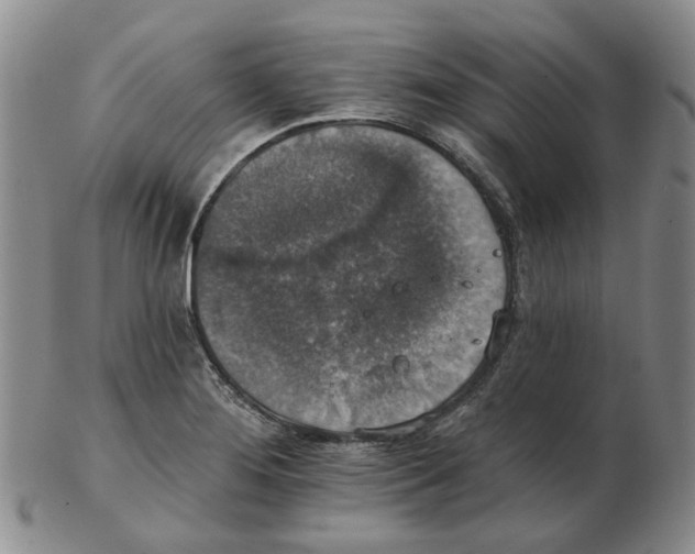 X0000102771276200809151030