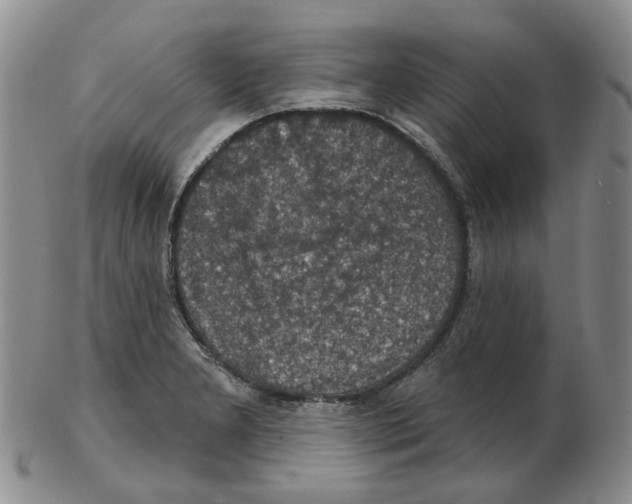 X0000102771277200809151030