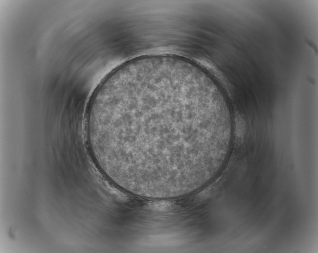 X0000102771278200809151030