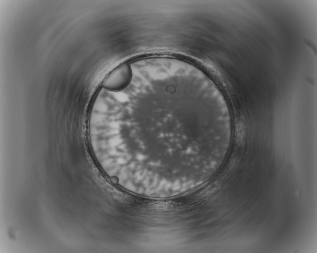 X0000102771279200809151030