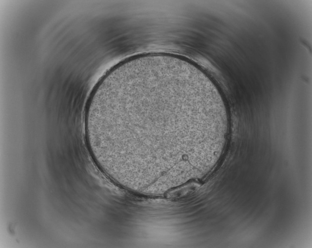 X0000102771280200809151030