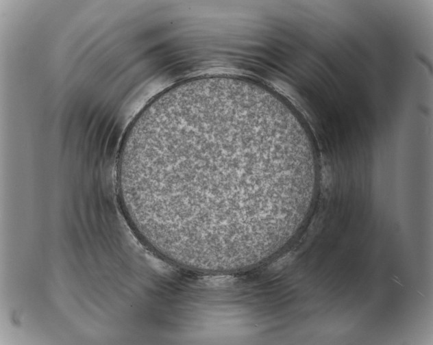 X0000102771282200809151030