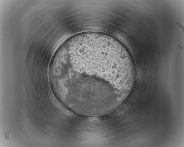 X0000102771283200809151030