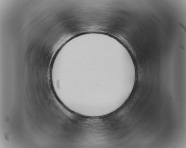 X0000102771285200809151030