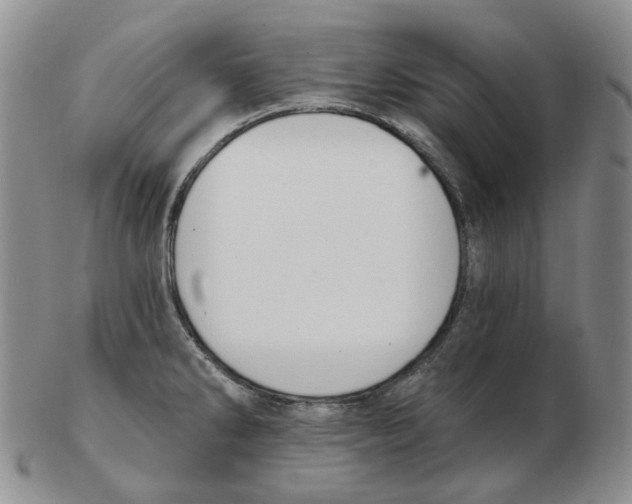 X0000102771286200809151030