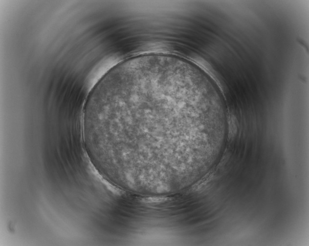 X0000102771290200809151030