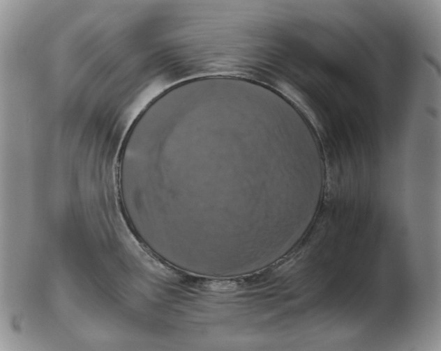 X0000102771291200809151030