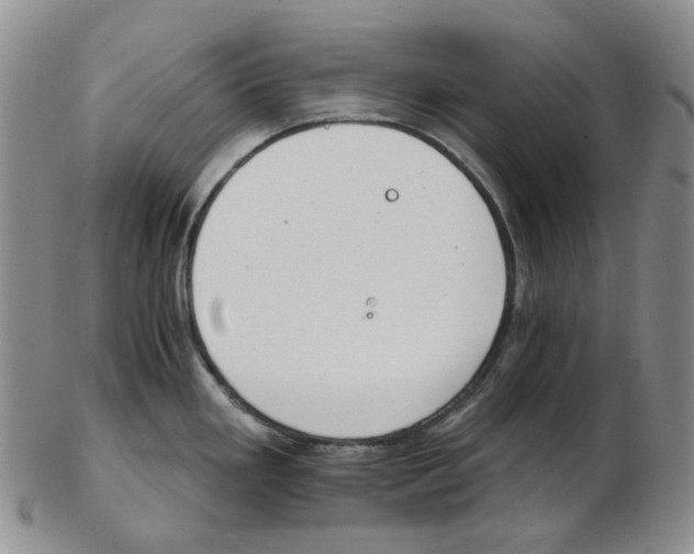 X0000102771293200809151030