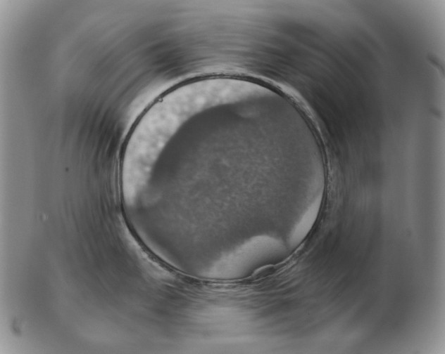 X0000102771295200809151030