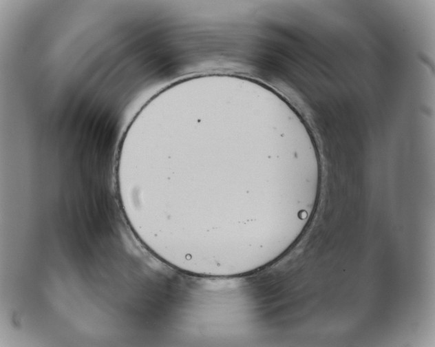 X0000102771296200809151030