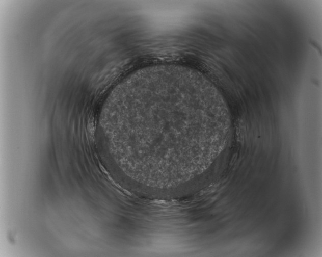 X0000102771298200809151029