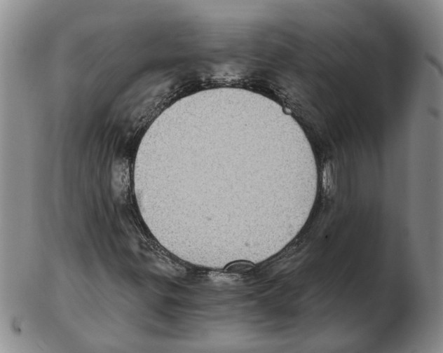 X0000102771299200809151029