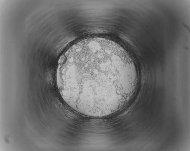 X0000102771305200809151029