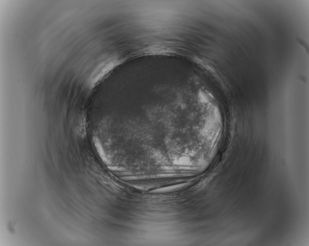 X0000102771306200809151029