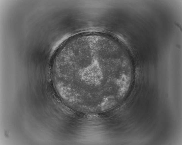 X0000102771310200809151029