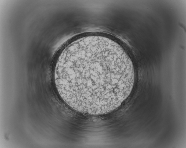 X0000102771311200809151029