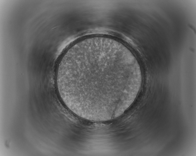 X0000102771312200809151029