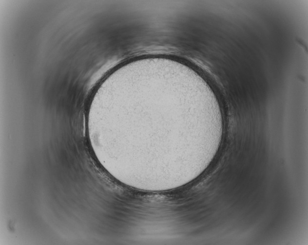 X0000102771317200809151029