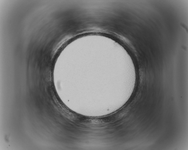 X0000102771318200809151029