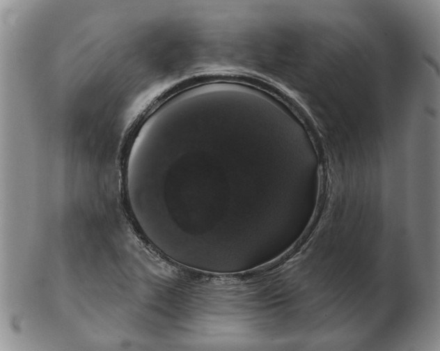 X0000102771319200809151029