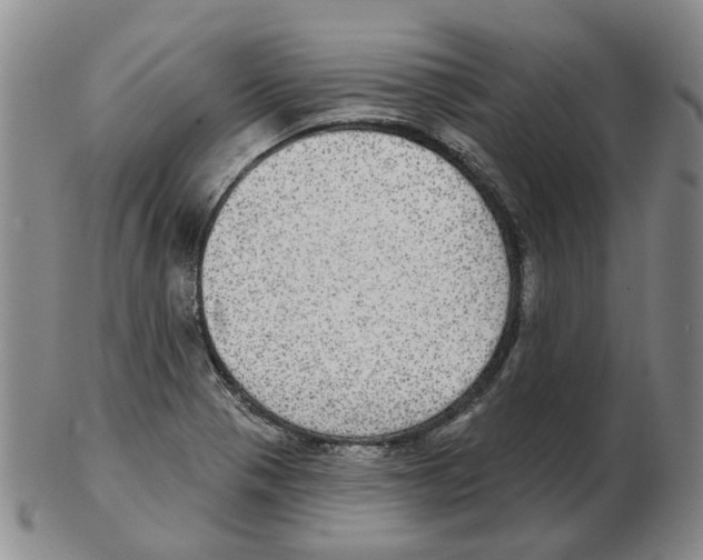 X0000102771321200809151029