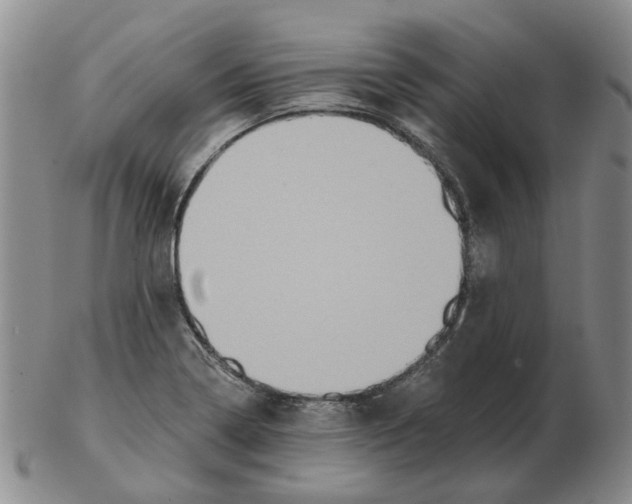 X0000102771322200809151029