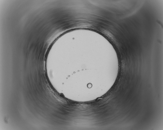 X0000102771324200809151029