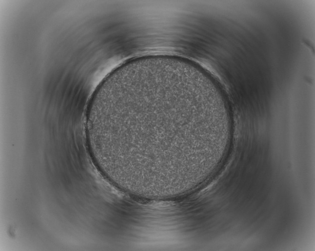 X0000102771325200809151029