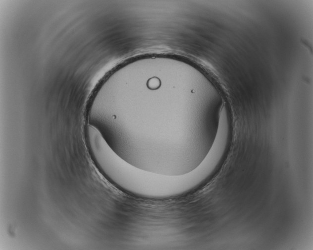 X0000102771326200809151029