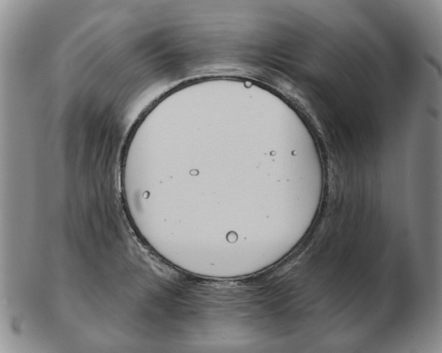 X0000102771328200809151029