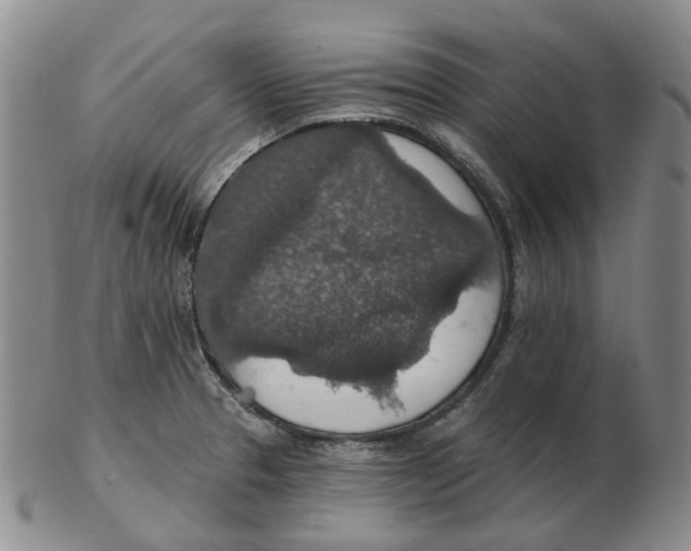 X0000102771329200809151030