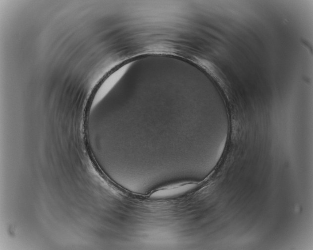 X0000102771331200809151030