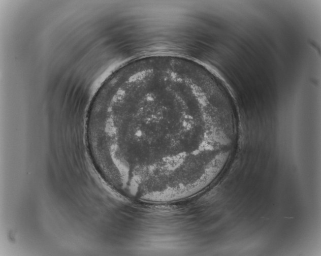 X0000102771333200809151030