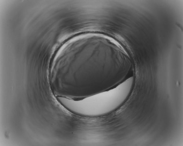 X0000102771334200809151030