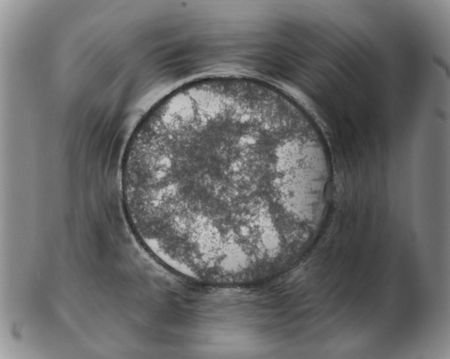 X0000102771335200809151030