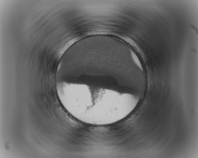 X0000102771337200809151030