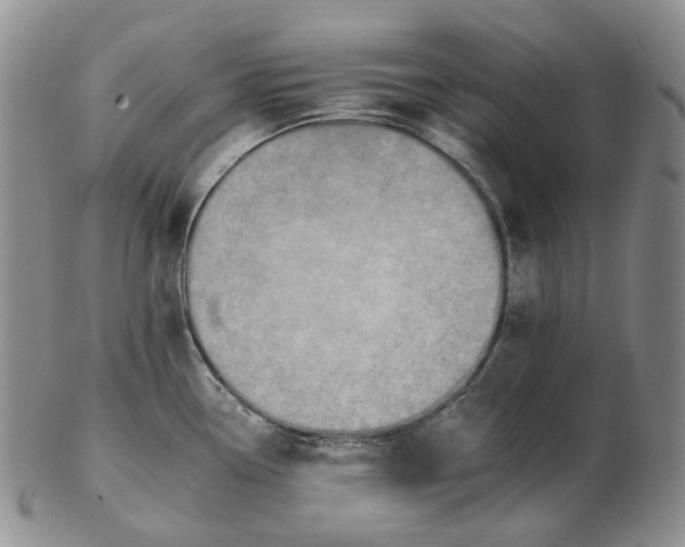 X0000102771338200809151030