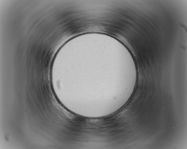 X0000102771339200809151030